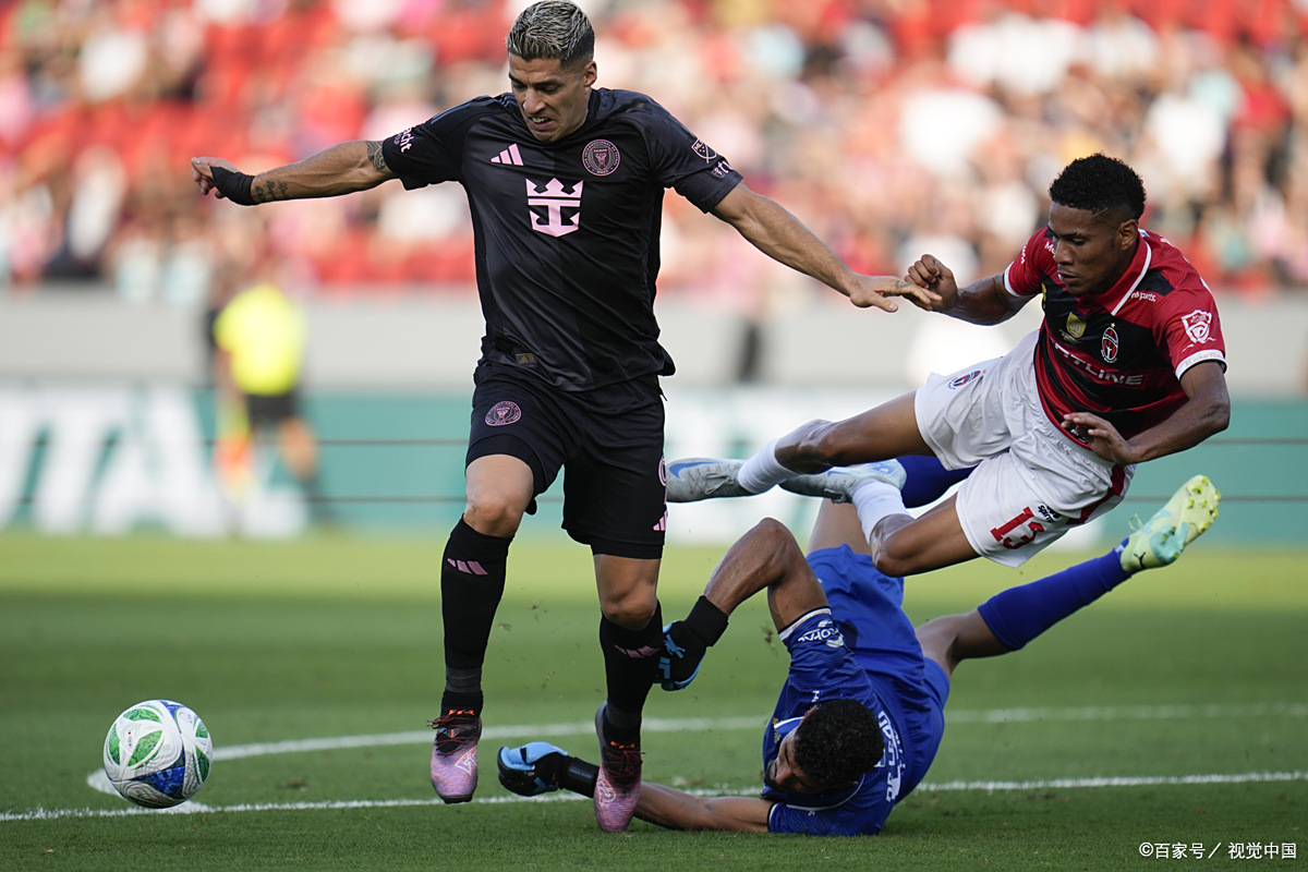 尼斯主场胜贝尔格莱德赢得胜利 尼斯主场胜贝尔格莱德赢得胜利